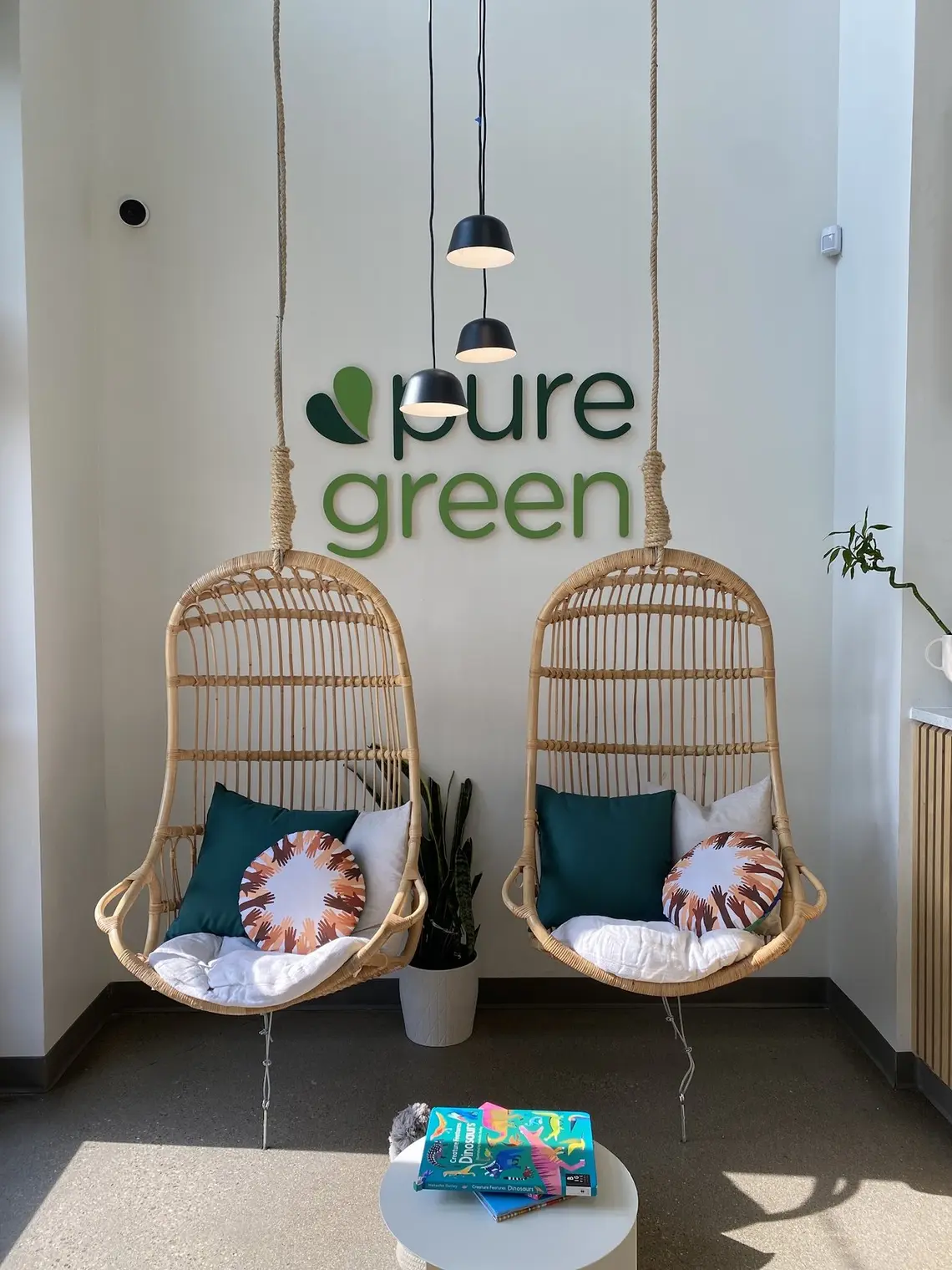 Hanging chairs under the Pure Green logo inside Pure Green Midtown Carmel