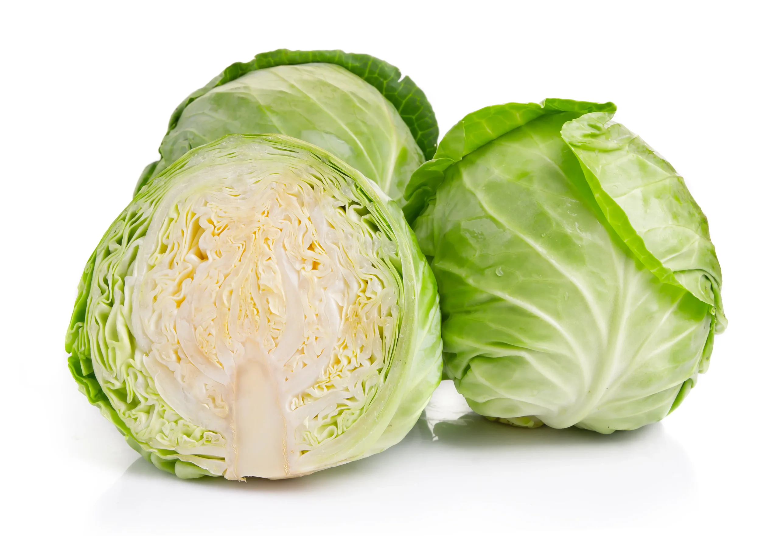 Cabbage